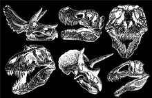 Graphical Set Of Dinosaur Skulls Isolated On Black  Background,vector Sketchy Illustration For Tattoo 