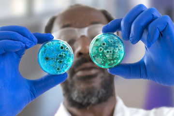 Life science afro-American professional observing the petri dish. Focus on the object large glass window background