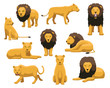 Lion and Lioness Cartoon Vector Illustration