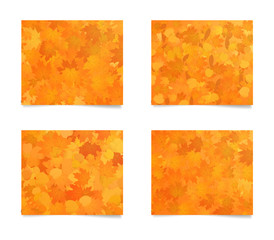 Wall Mural - set of orange rectangular autumn web banners with leaves texture for sites and advertisement.
