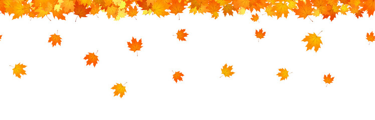 Wall Mural - autumnal leaves fall horizontal seamless banner for decor.