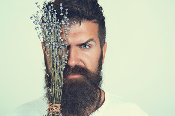 Beauty natural portrait of brutal bearded man with flowers purple lavender. Fashion man with flowers. Style model face with lavender. Male face isolated on white background. Perfect skin, beard, hair