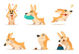 Fototapeta Fototapety na ścianę do pokoju dziecięcego - Various illustrations of funny little dog in action poses