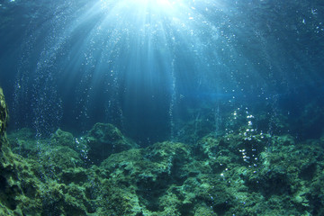 Canvas Print - Underwater ocean background with air bubbles in water    