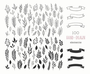 Wall Mural - Set of vector hand drawn floral design elements. Vintage branches, flowers, leaves, banners and ribbons. Romantic botanical illustrations.