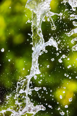 Splashing water against a background of green nature