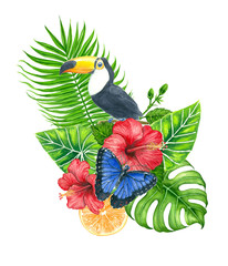 Plakat natura ptak sztuka owoc