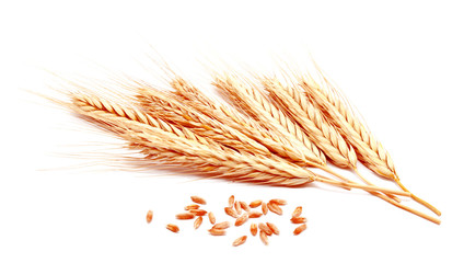 Wall Mural - Wheat ears corn isolated on a white background