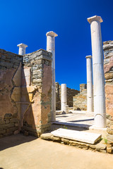 Wall Mural - Ancient ruins in the island of Delos in Cyclades, one of the most important mythological, historical and archaeological sites in Greece.