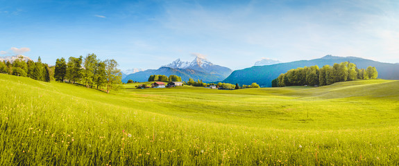 Wall Mural - idyllic landscape in the alps with blooming meadows in springtime