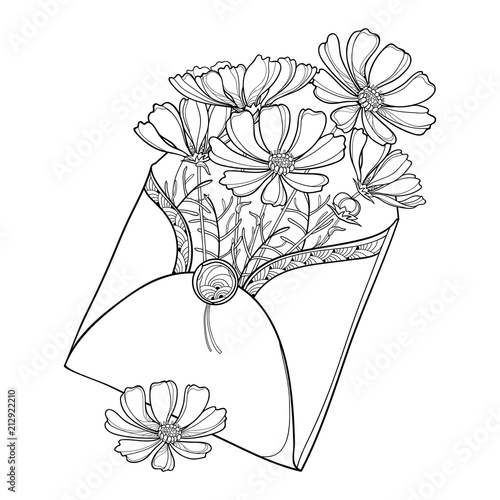 Download Vector bouquet with outline Cosmos or Cosmea flower bunch, ornate leaf and bud in open craft ...