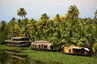 © RooM The Agency - Scenic view of houseboat on vembanadu lake against palm trees