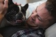 © Wavebreak Media - Man playing with his pet dog in living room