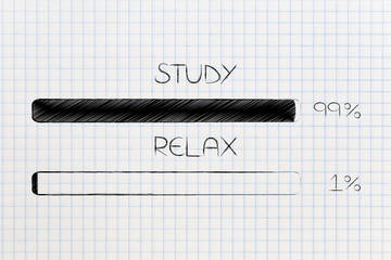 99 per cent study 1 per cent relax progress bars