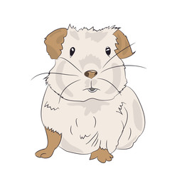 Wall Mural - guinea pig, color vector