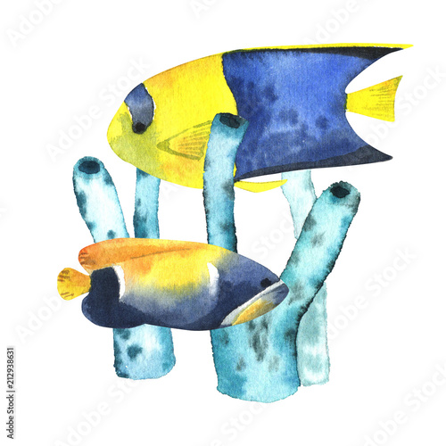 Naklejka dekoracyjna Tropikalne ryby i wodorosty