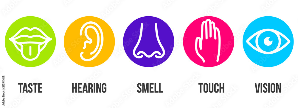 Creative vector illustration line icon set of five human senses. Vision, hearing, smell, touch, taste isolated on transparent background. Art design nose, eye, hand, ear, mouth with tongue element - obrazy, fototapety, plakaty 