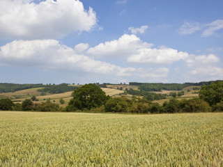 Sticker - Wolds agricultural landscape