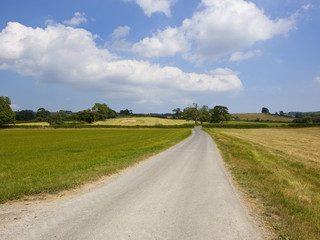 Sticker - country road and clover fields