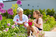 © Syda Productions - gardening, family and people concept - happy grandmother and granddaughter planting flowers at summer garden