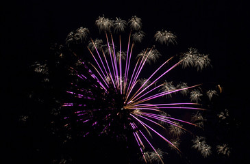 Purple and Pom-Pom Fourth of July Fireworks through the trees  on Lake Sawyer in Washington State