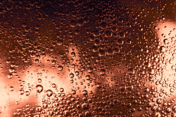 Champagne Pink wine bubble wine sparkles macro