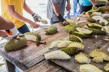Peeling Durian By Knife. Thai King Fruit