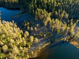 Wall Mural - Lakes in forest