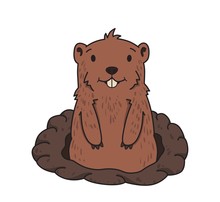 Cute Friendly Groundhog Looking Out From The Burrow On White Background. Groundhog Day. Line Vector Illustration. Colored Cartoon Style, Isolated.