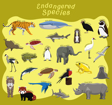 Endangered Species Animal Set Cartoon Vector Illustration