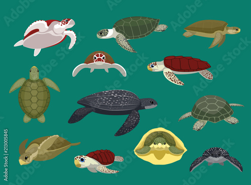 Cuadros en Lienzo Various Sea Turtle Poses Vector Illustration