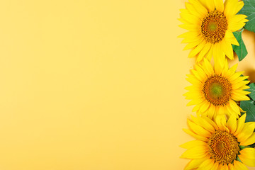 Fotomurales - Beautiful sunflowers on yellow background.View from above. Background with copy space.