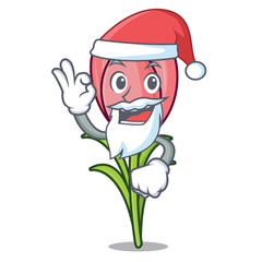 Sticker - Santa crocus flower mascot cartoon