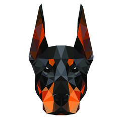 Wall Mural - Low poly triangular dog doberman face on dark background, symmetrical vector illustration EPS 10 isolated.  Polygonal style trendy modern logo design. Suitable for printing on a t-shirt.