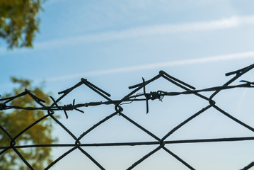 barbed wire under the sky, freedom