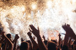 © NDABCREATIVITY - Portrait of happy crowd enjoying at music festival