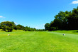 © show999 - landscape of japanese golf course in chiba