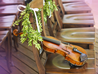 Wall Mural - Violin. Violin outdoors. Live music. Wedding.Musician for the wedding.Violin under the open sky