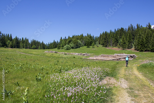 Cycliste Sur Le Plateau De Chateau Julien Dans Le Vercors Villard De Lans Isere France Stock Photo Adobe Stock