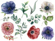 Watercolor eucalyptus, anemone and ranunculus floral set. Hand painted blue, red and white anemone, berry, eucalyptus leaves and branches isolated on white background. Illustration for design, print.