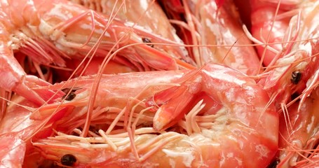 Canvas Print - Fresh cooked shrimp