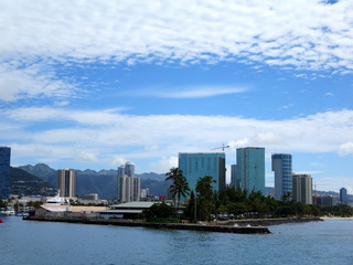 Wall Mural - Kewalo Basin point and surrounding condos