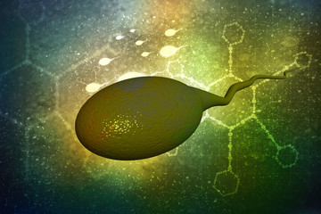 Poster - 

3d illustration showing sperms and egg