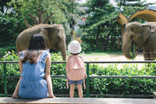 Happy Mother And Daughter Watching And Feeding Elephants In Zoo.