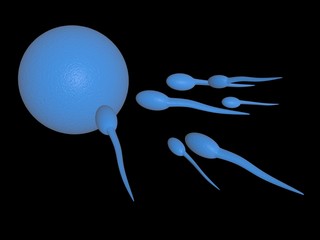 Poster - 3d illustration showing sperms and egg