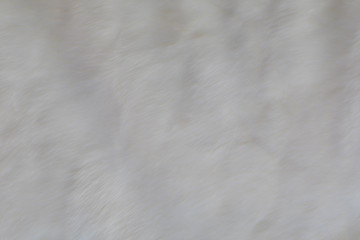 Wall Mural - texture white fur