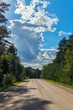 © adamchuk_leo - A long, wide dirt road running between tall trees and bushes growing on the roadside against a background of dense white clouds against a blue sky.