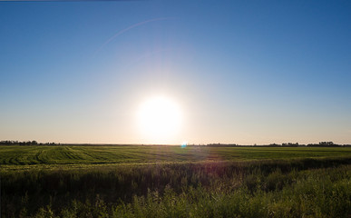 Outdoors nature grass meadows of the countryside. Rural field landscape in summer evening. View of the natural summer landscape. Green grass field, nature concept. Agricultural grass field pastures