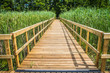 © teine - Bridge leading to a lake with bulrush growing all around