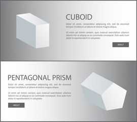 Wall Mural - Cuboid and Pentagonal Prism Vector 3D Shaped Web